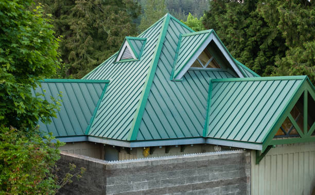 Best Skylight Installation and Repair  in Crooksville, OH